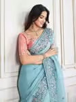 Royal Saree Embroidery Design Collection