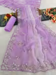 Soft Silky Pastel Colors Saree with Cutdana Embroidery