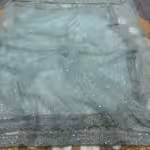 Firozi color saree in net